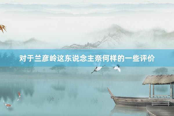 对于兰彦岭这东说念主奈何样的一些评价