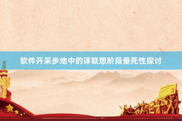 软件开采步地中的详联想阶段垂死性探讨