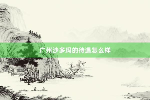广州沙多玛的待遇怎么样