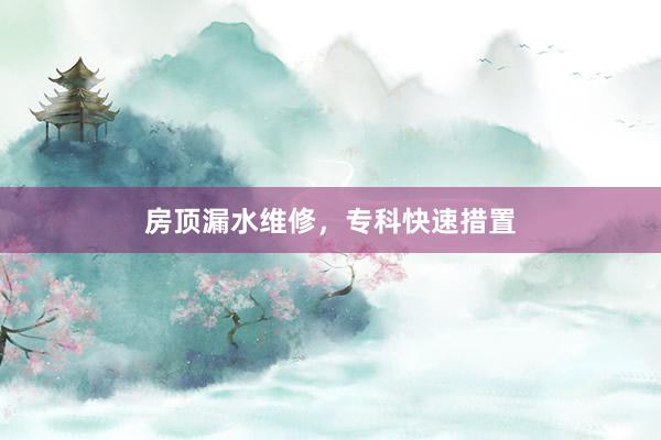 房顶漏水维修，专科快速措置